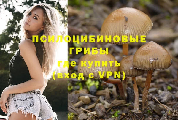 стафф Верея