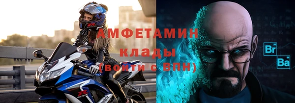 индика Бронницы