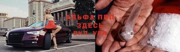 индика Бронницы