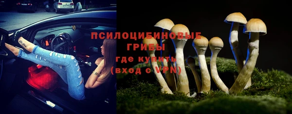 индика Бронницы