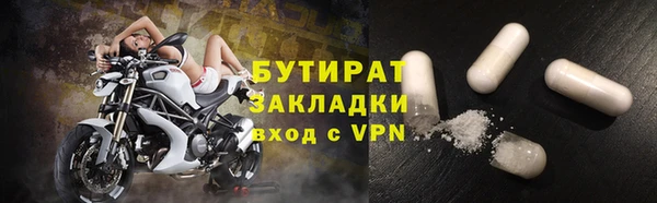 индика Бронницы