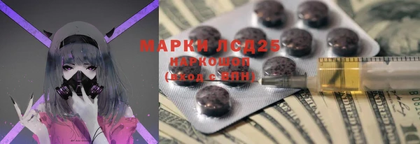 спайс Бородино
