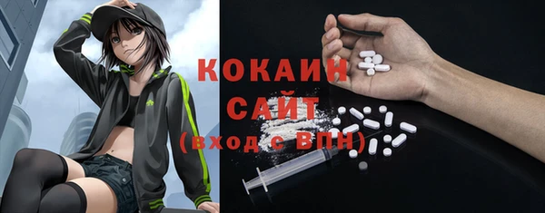индика Бронницы