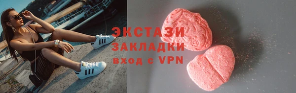 индика Бронницы