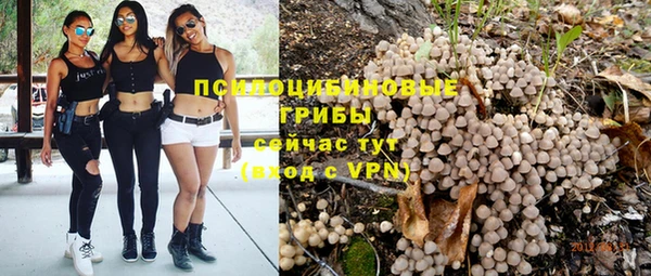 спайс Бородино