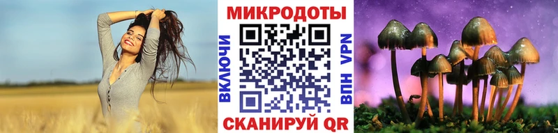 Купить закладки  Кологрив  Галлюциногенные грибы прущие грибы 