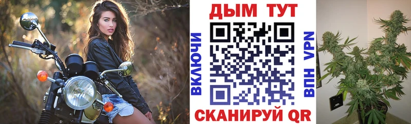 Шишки марихуана LSD WEED  Купить где  Кологрив 
